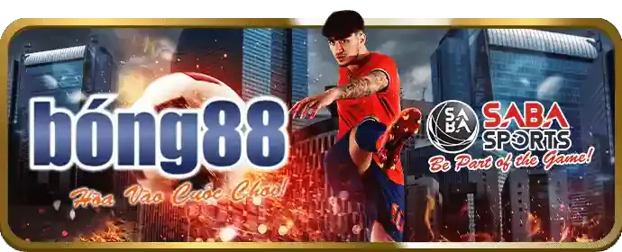 Giao diện thân thiện và trải nghiệm người dùng tối ưu